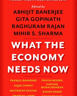 What the Economy Needs Now (Hardcover)